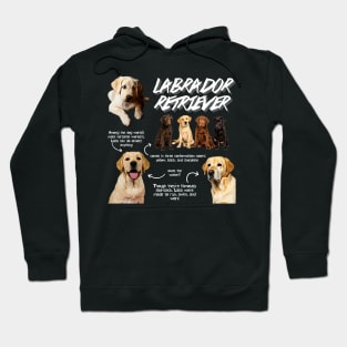 Labrador Retriever Fun Facts Hoodie